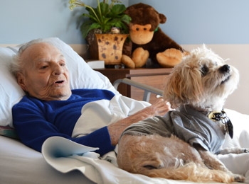 A VITAS patient with a Paw Pal volunteer dog